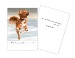 Birthday Card - We don't stop playing....