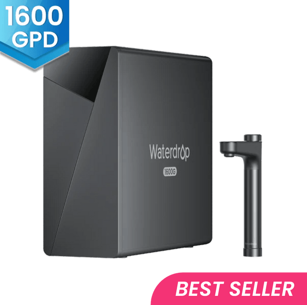 X16-BEST-SELLER_grande.png?v=