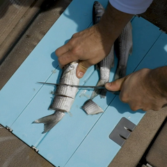Toadfish Stowaway Folding Cutting Board (12" x 16")