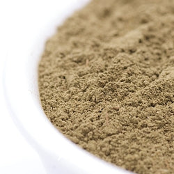 What Is File Powder?