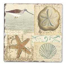 Coaster Shell Collage (4 pack)