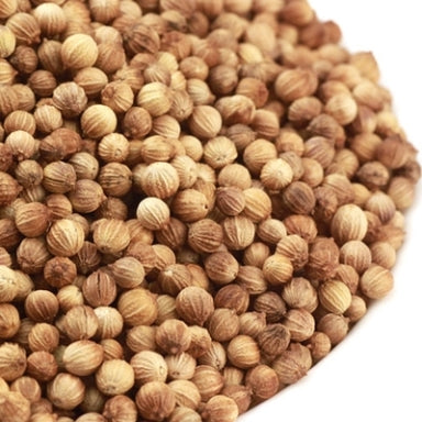 where to buy coriander seeds for planting Coriander Seed (ounce) – The Seasoned Gourmet
