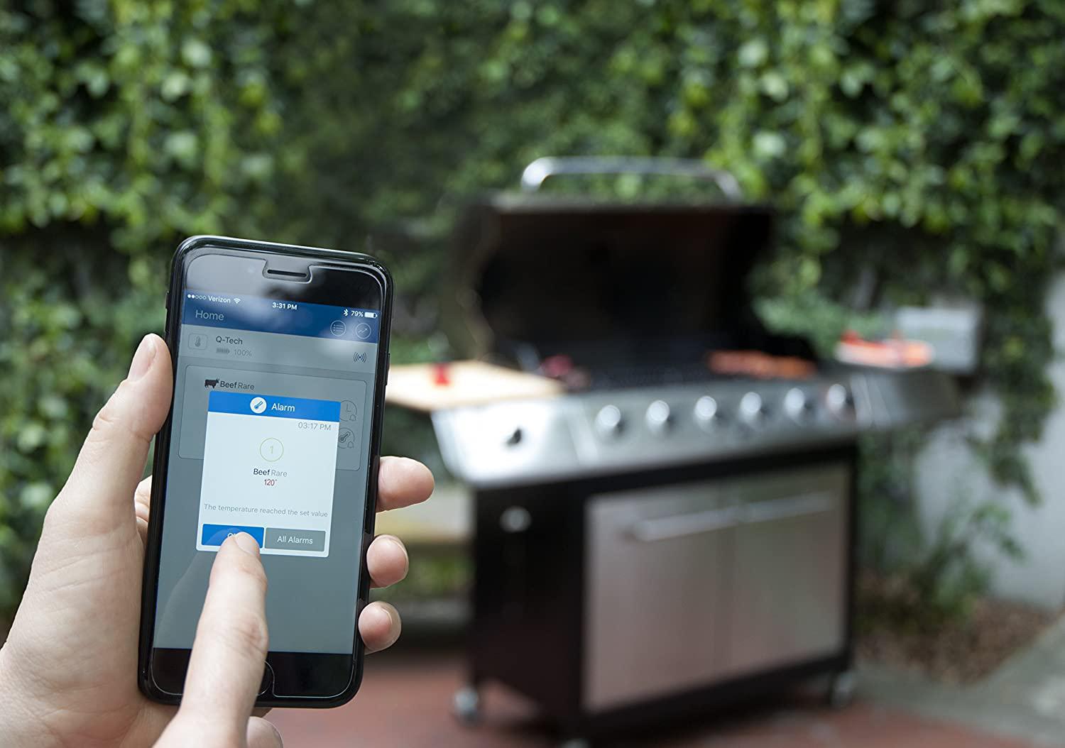 QTech Bluetooth Meat Thermometer The Seasoned Gourmet