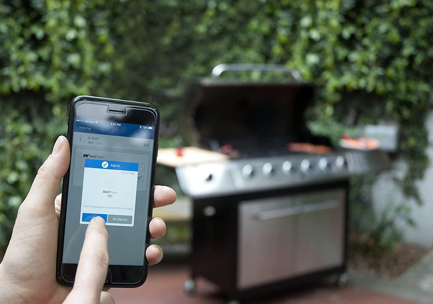 QTech Bluetooth Meat Thermometer The Seasoned Gourmet