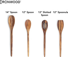 Ironwood Wilmington Spoon - 12" (Acacia)