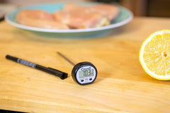Escali Digital Pocket Thermometer (NSF)